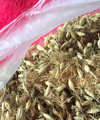 [����]�����񷽡�������ѿ