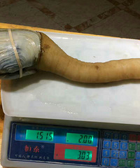 �����ʲô��������ô��