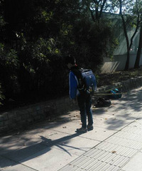 ��ֹ����ʮ�����ѧ�������ӣ�����������