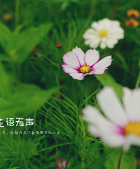 一个男人自我放逐的路程
