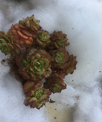 Ư���������ǣ��ٺ��������ǵ�������