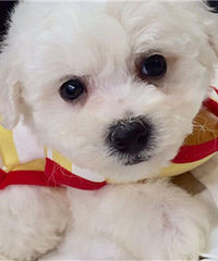 ��������������