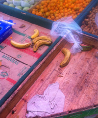 ͬ��ֻ��ȥ����㽶����Ȼֻ�ܿ���������ץ��