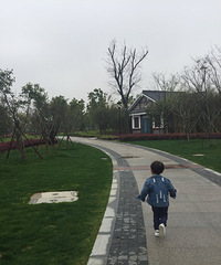 旅游日记 雨后的中央公园