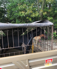 ���չ���