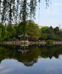 ���򷿻�û�¾���,����30��Ĺ����������ʻ���