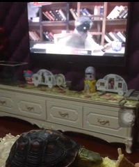 ���۸��᡿�������ô