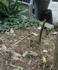 �²�����ʲô��