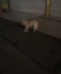 ·�Ų��г�˭�ҹ����ˣ�