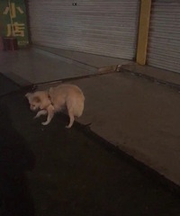 ·�Ų��г�˭�ҹ����ˣ�