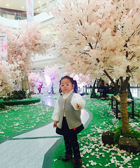 ��һƬ����