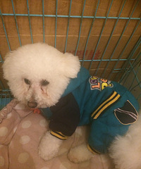 �Ҽҵĳ�С�ף�