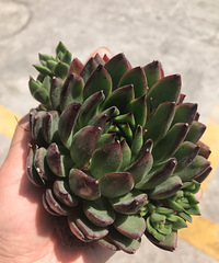 ���ŵ��⵽��