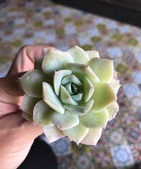 ���ŵ��⵽��