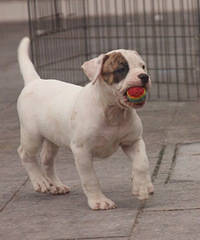 ������~��β���������ţ��Ȯ��