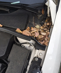 ������ ͣ���µ��ֵ� ������û�������ķ���