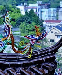 �����ϵ�����