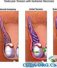 ���ĵ������û��