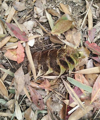 �����ϡ���������̨�ݻ���