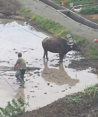 ���۸��᡿��������ָ���ģʽ��