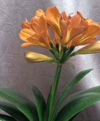 ɹһ���ҵľ�����