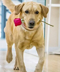 ���������������������������һ��С����ϣ���ҵ�һЩ����������