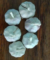 �����ϡ�����ͷ12Ԫһ�������ݡ���Ҫ������