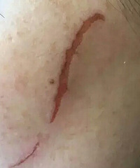 ���ϻ�ʿ������