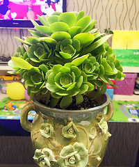 �°ܵ��⣨�����ޣ��ں죩