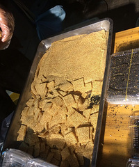 �����ϱ��������ܹ�֭ ������������