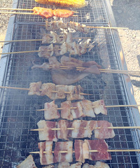 ���Ի���̨�ݡ� +��һ��ɽ��֮�۵��տ�