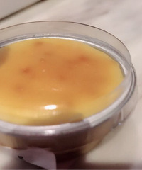 ���Կ�������������������