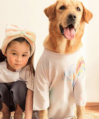 ��û��˭����Ȥ��ֻ��������С�̹�