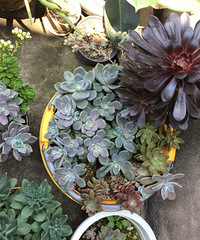 ���⼰�����ݲ�