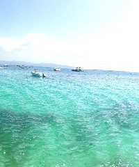 长滩旅游小指南 这里公厕好少