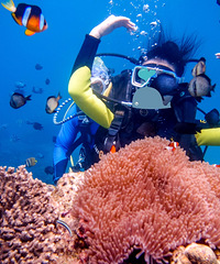 ��̲����Сָ�� ���﹫�޺���