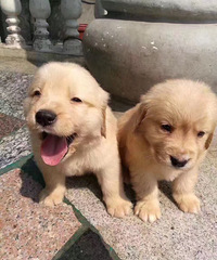 �а��ĵ����������˹�����