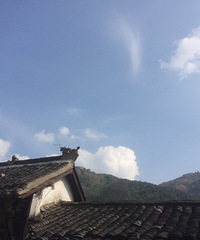 ���������ƺ����ǿ�