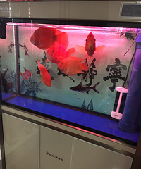 Ϊʲôè����ô��