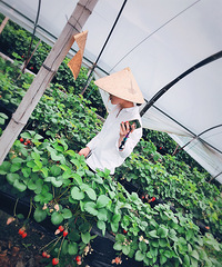 80Ԫ7�ﻹ��ѳ�