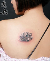 �������ϵ���������ǰŮ�ѵ����� ���ź�����