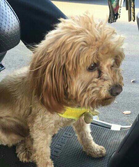 ˭�ҹ������ˣ�