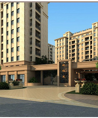 ������԰������Է���ѡ��һ��û�Ż�һ��ƫ