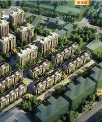 ������԰������Է���ѡ��һ��û�Ż�һ��ƫ