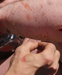 ���������滬����������ƴ� ���������