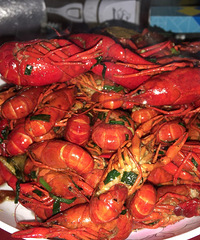 ���۸��᡿������Ϻ�Ļ���Ƕ�����