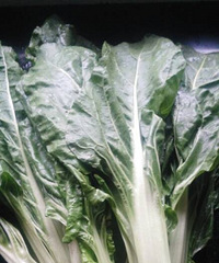 ���۸��᡿����ʲô�ˣ��ó���