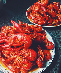 ������ | ˮ����С��Ϻ���䣡