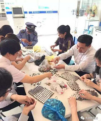 ����5��Ƥ����Ǯ