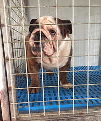 �㽭̨�ݵ���˫Ѫͳ�����ֹ��������